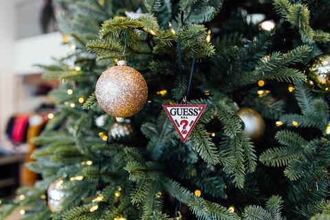 Christmas ornament, Tree, Christmas tree, Christmas, Holiday ornament, Colorado spruce, Spruce, Christmas decoration, Fir, Plant, 