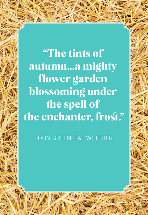 best fall quotes