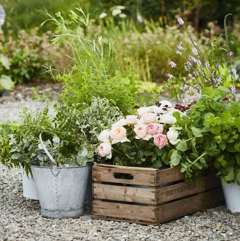 common garden improvements that could be mistakes