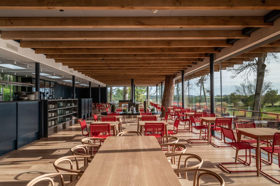 The Garden Cafe at The Newt