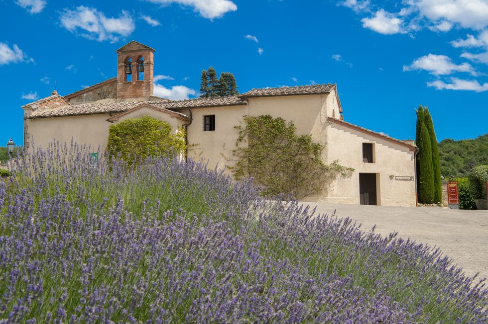 Blue, Property, Lavender, Flower, Lavender, House, Sky, English lavender, Plant, Architecture, 