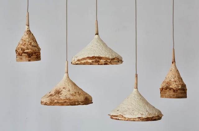 sustainable materials sebastian cox mycelium and timber lights