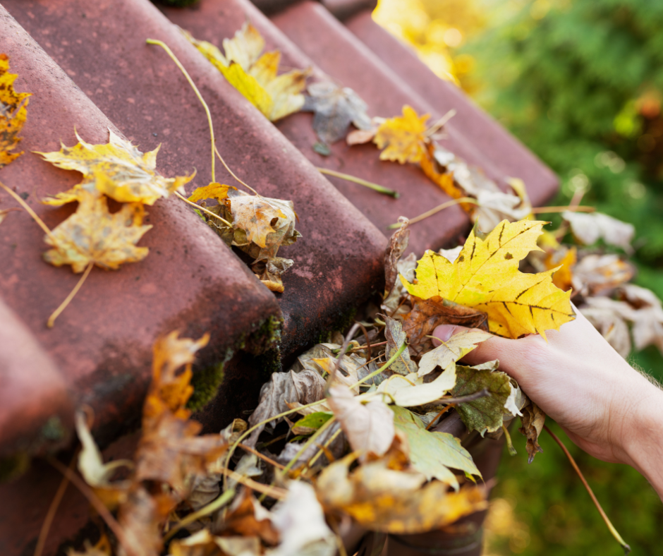 hand cleaning leaves from a gutter filled with autumn foliage