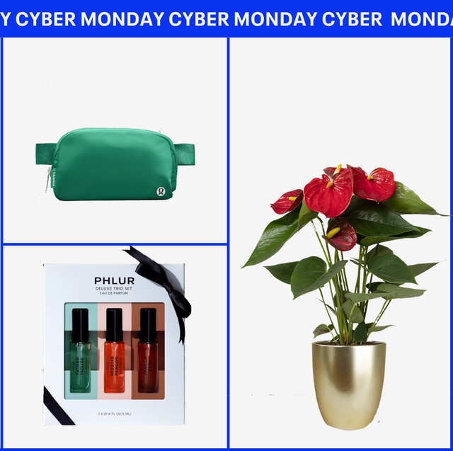 Best Cyber Monday Gifts Under $50 collection of gift items including jewelry a mug hand cream a cosmetic bag perfume set and a potted plant themed for cyber monday