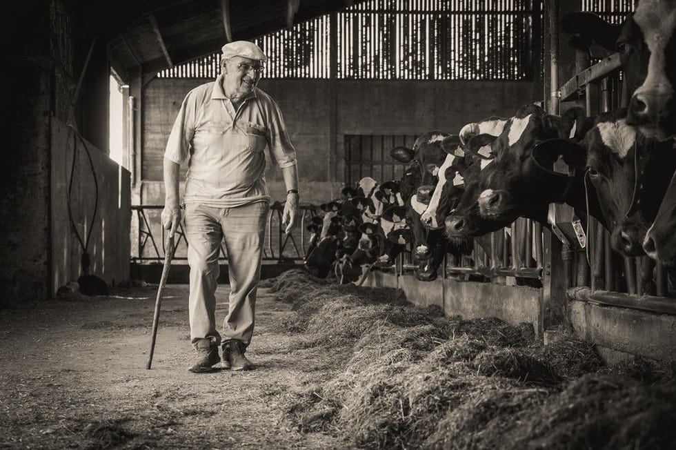 Winnaars National Geographic Fotowedstrijd 2022: publieksprijs Nummer 1 in de categorie mensBOEREN VOOR EEUWIGBeschrijving van de fotograaf Deze melkveehouder op pensioen geniet van zijn dagelijkse blik op de koeien die ondertussen al door zijn kleinzoon worden verder gezet