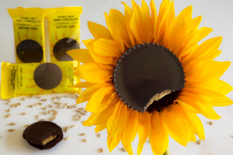 Sunflower, Yellow, sunflower, Sunflower seed, Flower, Plant, Vegetarian food, Cuisine, Seed, Food, 