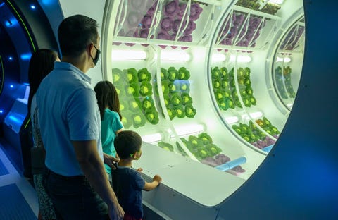 guests check out the “grow zone” inside space 220 restaurant at epcot at walt disney world resort in lake buena vista, fla the first of its kind concept opens sept 27, 2021, inviting guests to feel as if they travel 220 miles above earth to the centauri space station for lunch or dinner todd anderson, photographer