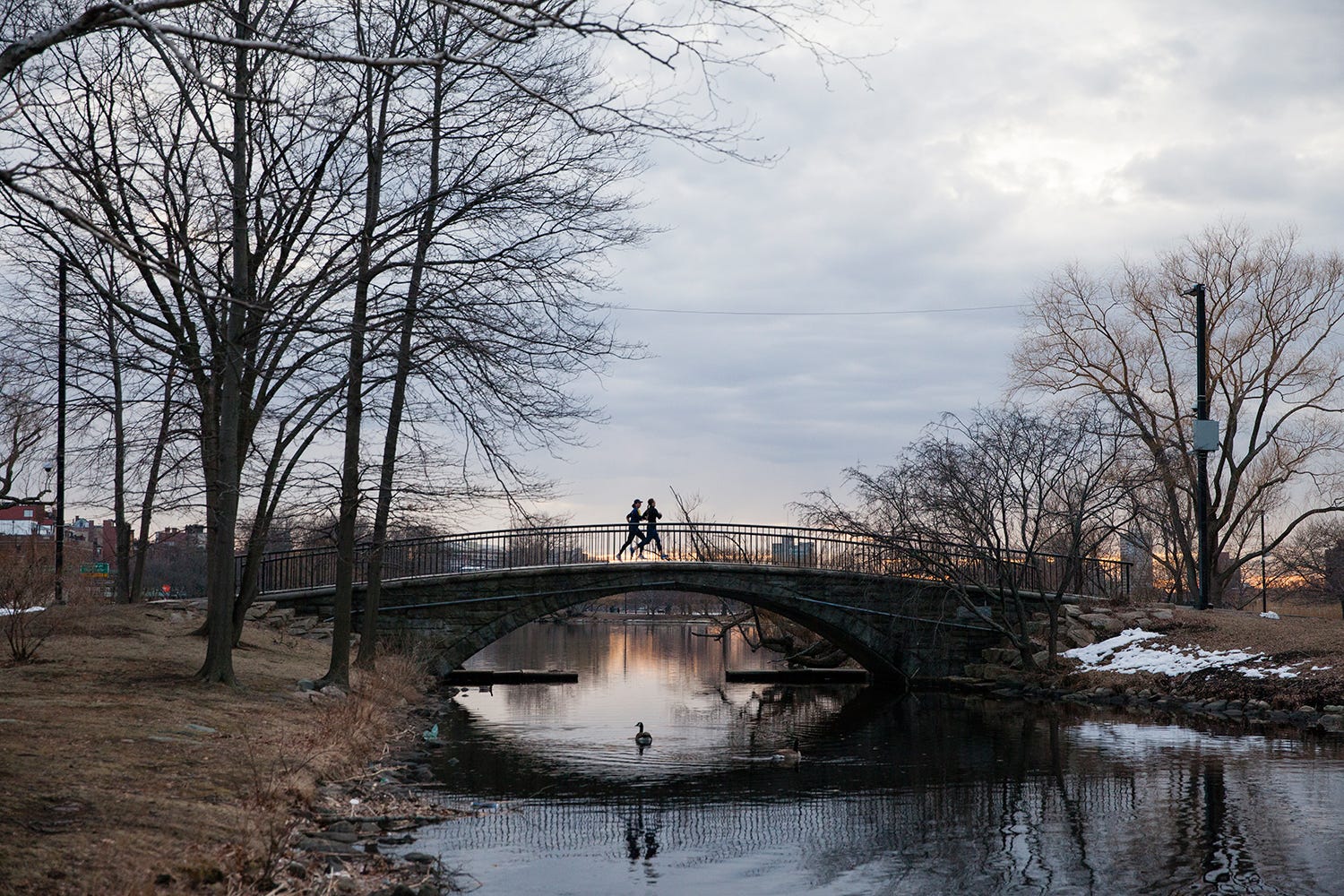 Boston City Guide