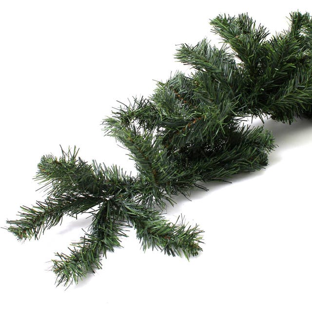 White pine, Yellow fir, shortleaf black spruce, balsam fir, Tree, lodgepole pine, Canadian fir, red pine, Jack pine, oregon pine, 