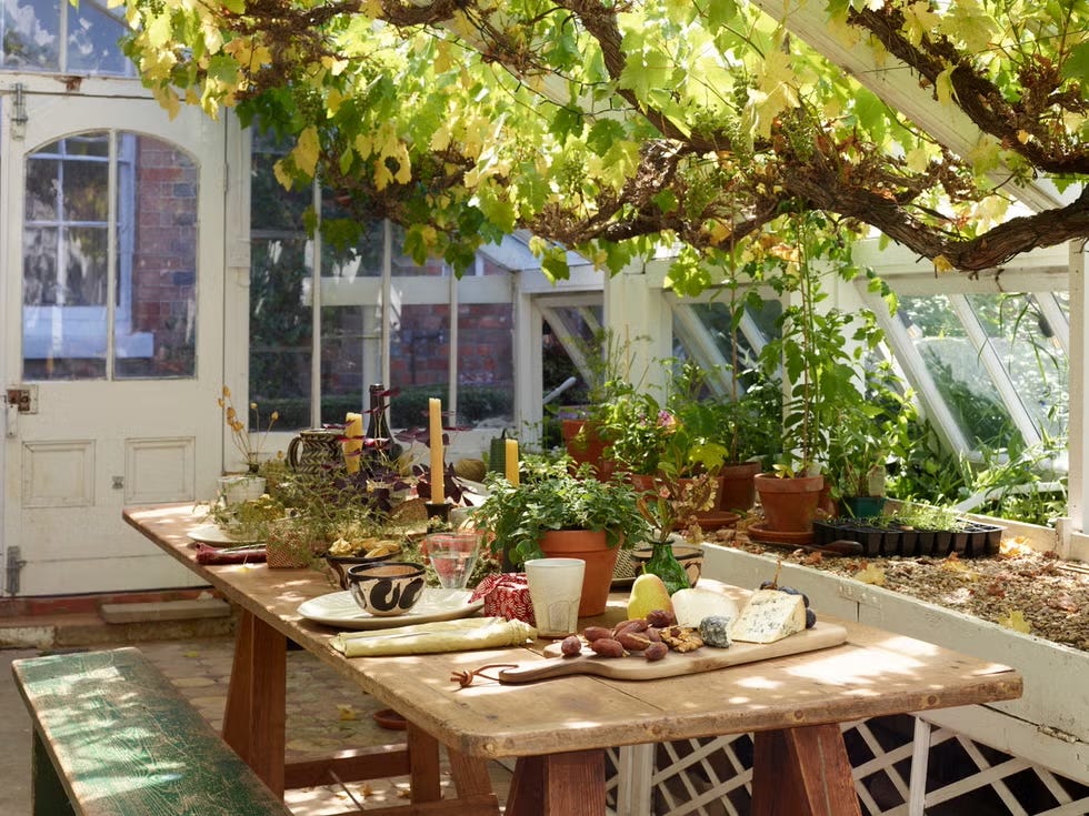 A greenhouse interior featuring a dining setup with plants and food items.