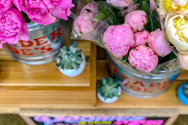 peonies