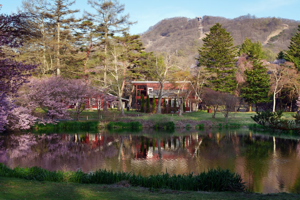 G7 Foreign Ministers Meeting in Japan