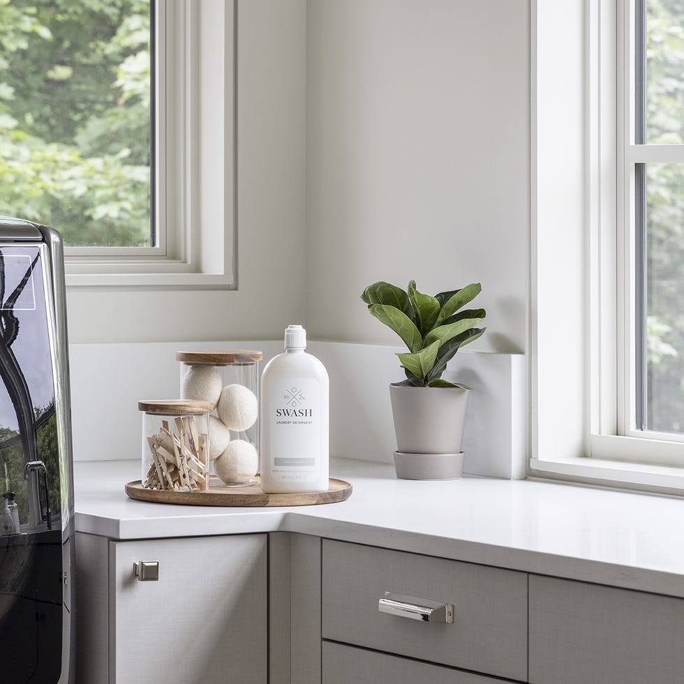 laundry supplies and a green plant on a countertop