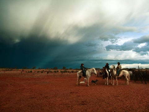 Weidse luchten boven cowgirls ook wel jillaroos genoemd op een veebedrijf in Queensland Veeteelt is een belangrijke bedrijfstak in Australi
