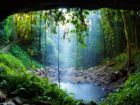 http://www.nationalgeographic.com/content/dam/travel/photos/000/066/6622.jpg Crystal Shower Falls is slechts een van de natuurlijke attracties in Dorrigo National Park in New South Wales Bezoekers kunnen het regenwoud van heel dichtbij meemaken dankzij houten wandelpaden die over de grond en langs de boomtoppen in het bos voeren