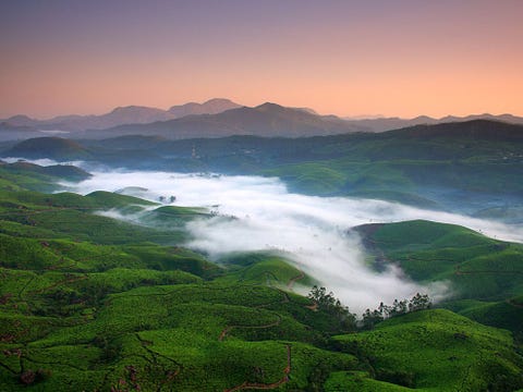 De glooiende heuvels bij Munnar in Kerala zijn bedekt met theeplantages die eind negentiende eeuw werden aangelegd door een Schot