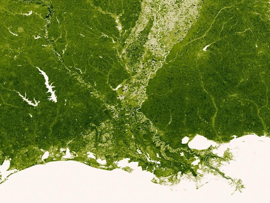Mississippigroen De rivier de Mississippi en zijn vele zijtakkenhier in een lichter groenmonden uit in de Golf van Mexico Deze afbeelding werd samengesteld uit verschillende satellietbeelden gemaakt tussen 25 en 31 maart van dit jaarVeertig procent van de zoutmoerassen in de continentale VS liggen in het gebied waar de Mississippi en de Golf van Mexico elkaar ontmoeten