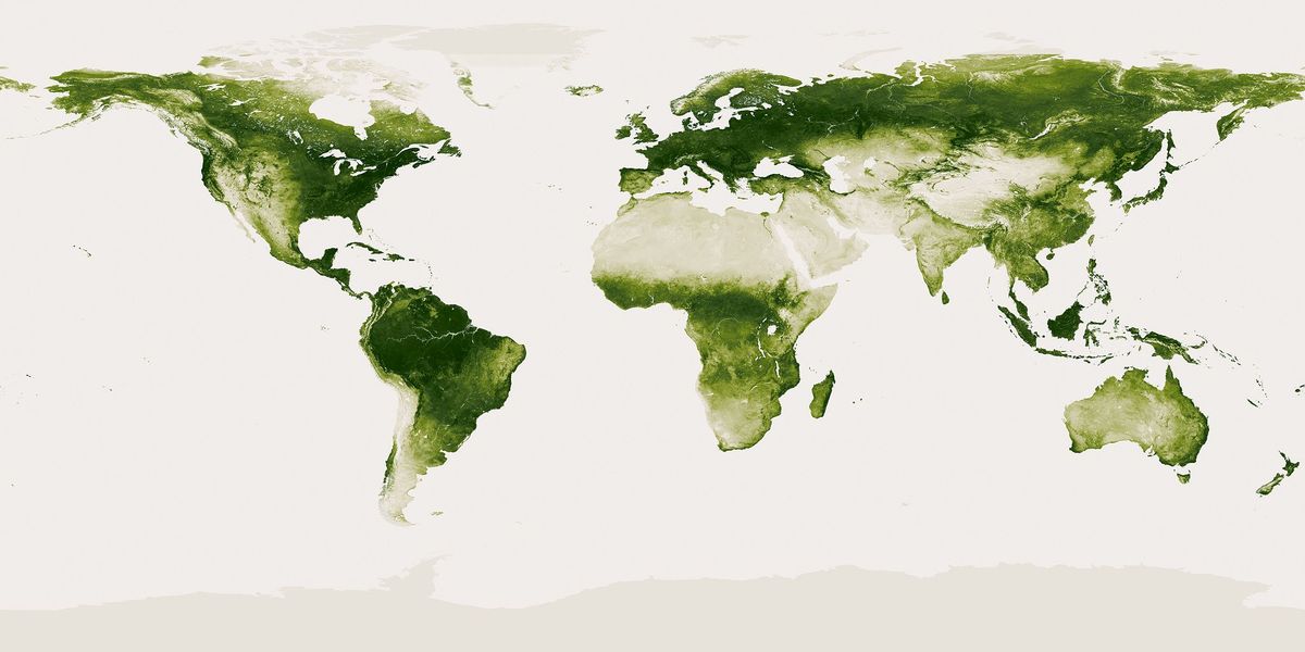 Op deze satellietbeelden lijkt de groene planeet aarde nog groener geworden doordat de vegetatie duidelijk is weergegeven zoals op deze satellietkaart van de hele planeet