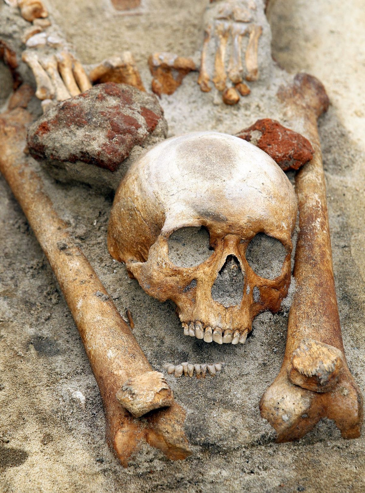 Poolse archeologen denken dat dit skelet waarvan het hoofd tussen de benen werd gevonden duidt op de begrafenis van een vermeende vampier