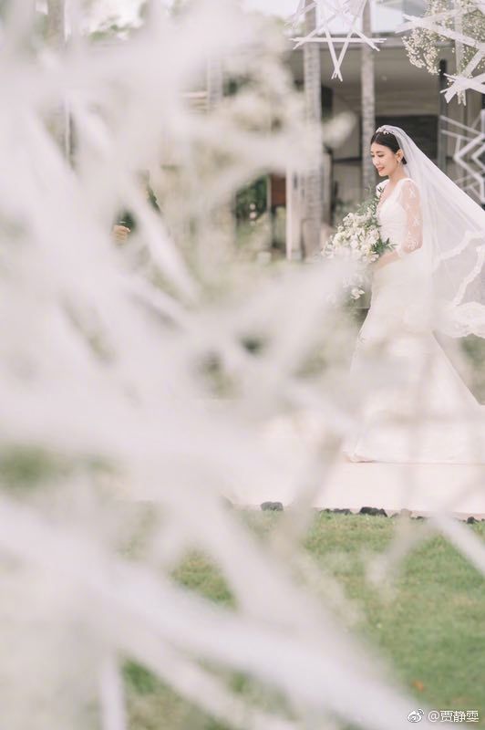 Wedding dress, Photograph, Bride, Dress, Veil, Gown, Bridal clothing, Clothing, Bridal veil, Bridal accessory, 