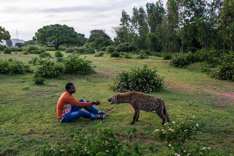Een hyena zit samen met Abbas Yusuf bij zijn hol Abbas de Hyenaman leerde van zijn vader hoe hij de wilde dieren moest voeren