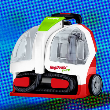 7 best portable carpet cleaners, according to our testing 7 best portable carpet cleaners, according to our testing