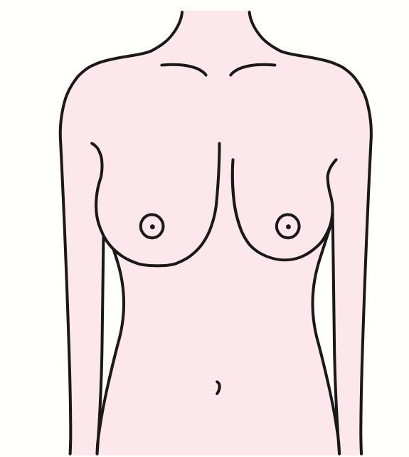 Shoulder, Chest, Abdomen, Joint, Skin, Neck, Stomach, Standing, Line, Organ, 