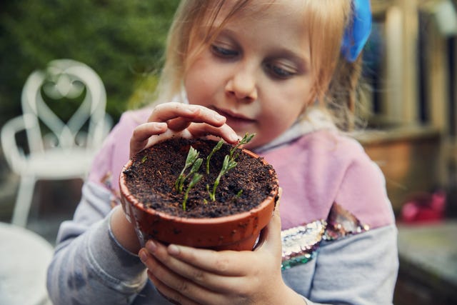 7 nifty tricks to remove common gardening stains
