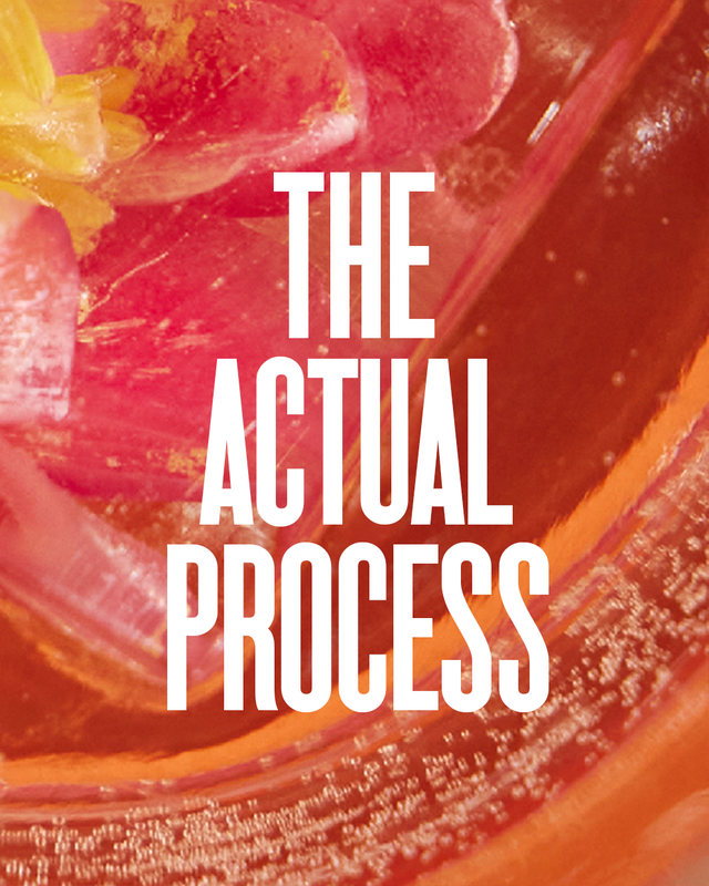 the actual process