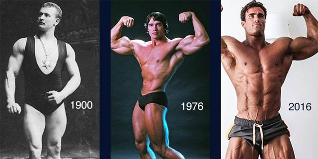How did most classic bodybuilders have or maintain slim waists? - Quora