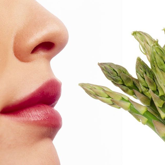 asparagus urine smell