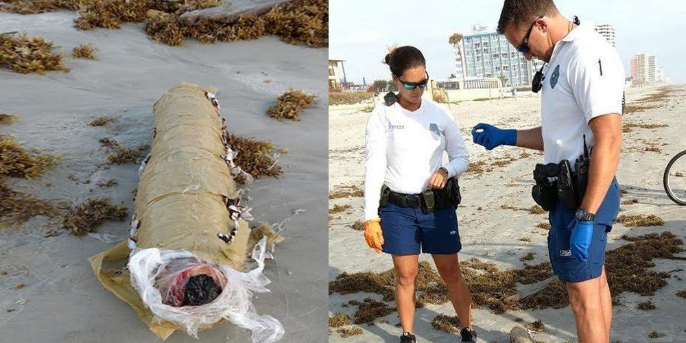Mysterious, 11-Pound Marijuana Blunt Washes Up on a Florida Shore | Men
