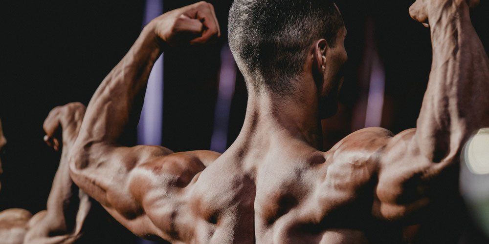 The New Rules Of Bodybuilding
