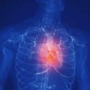 Could drug prevent heart disease, cancer? 