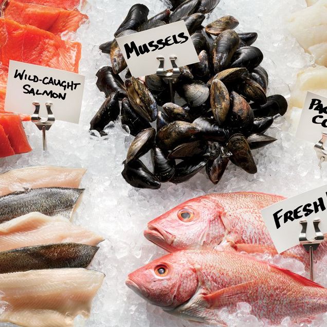 decoding the fish counter