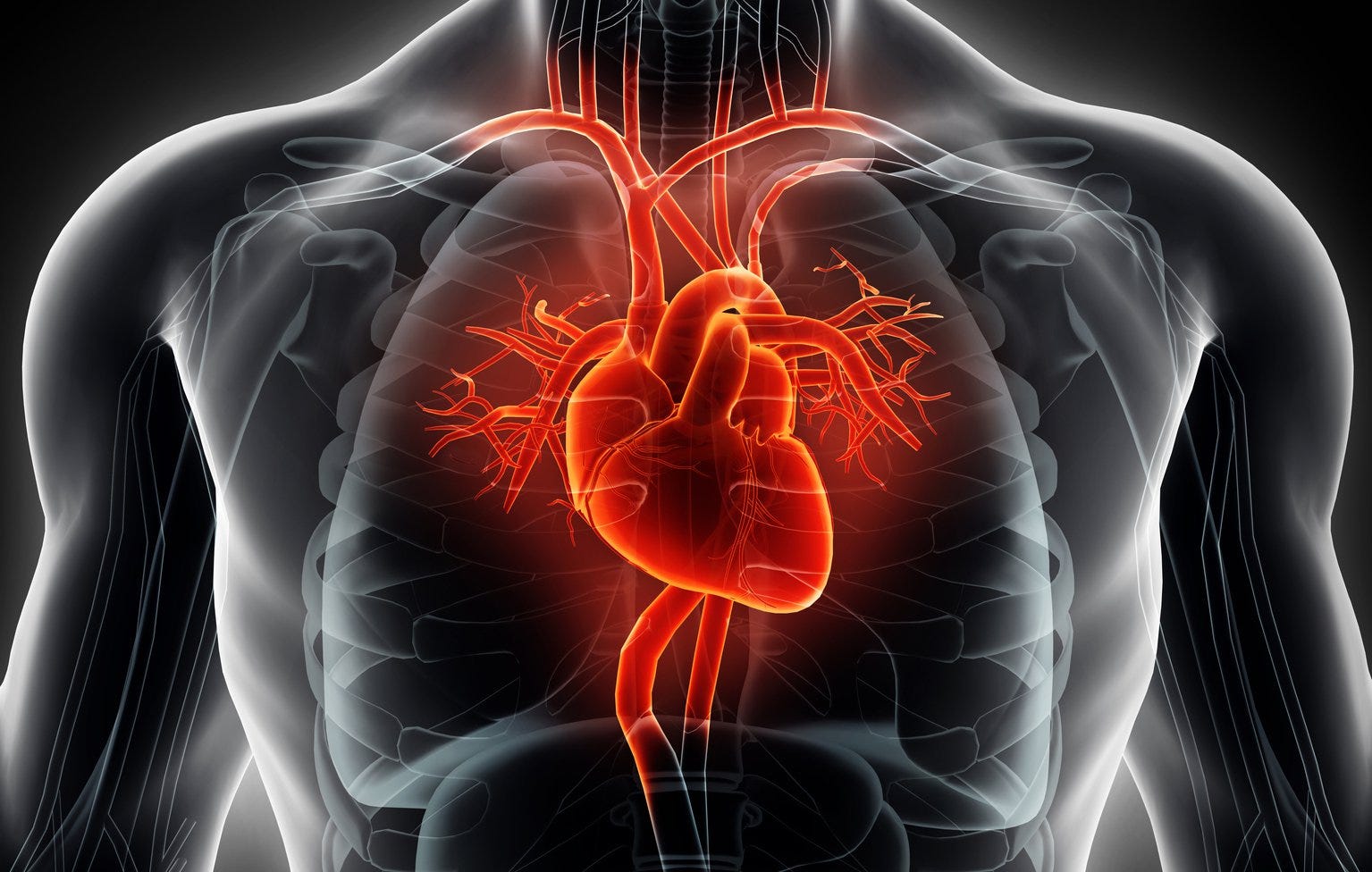 Widowmaker Heart Attack: Signs and Symptoms, Treatment, and Prevention