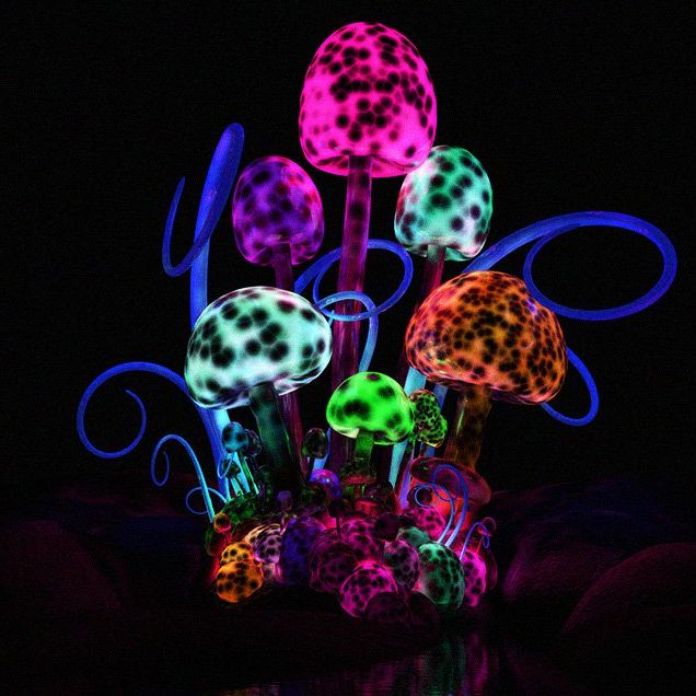 magic mushrooms to reboot your brain