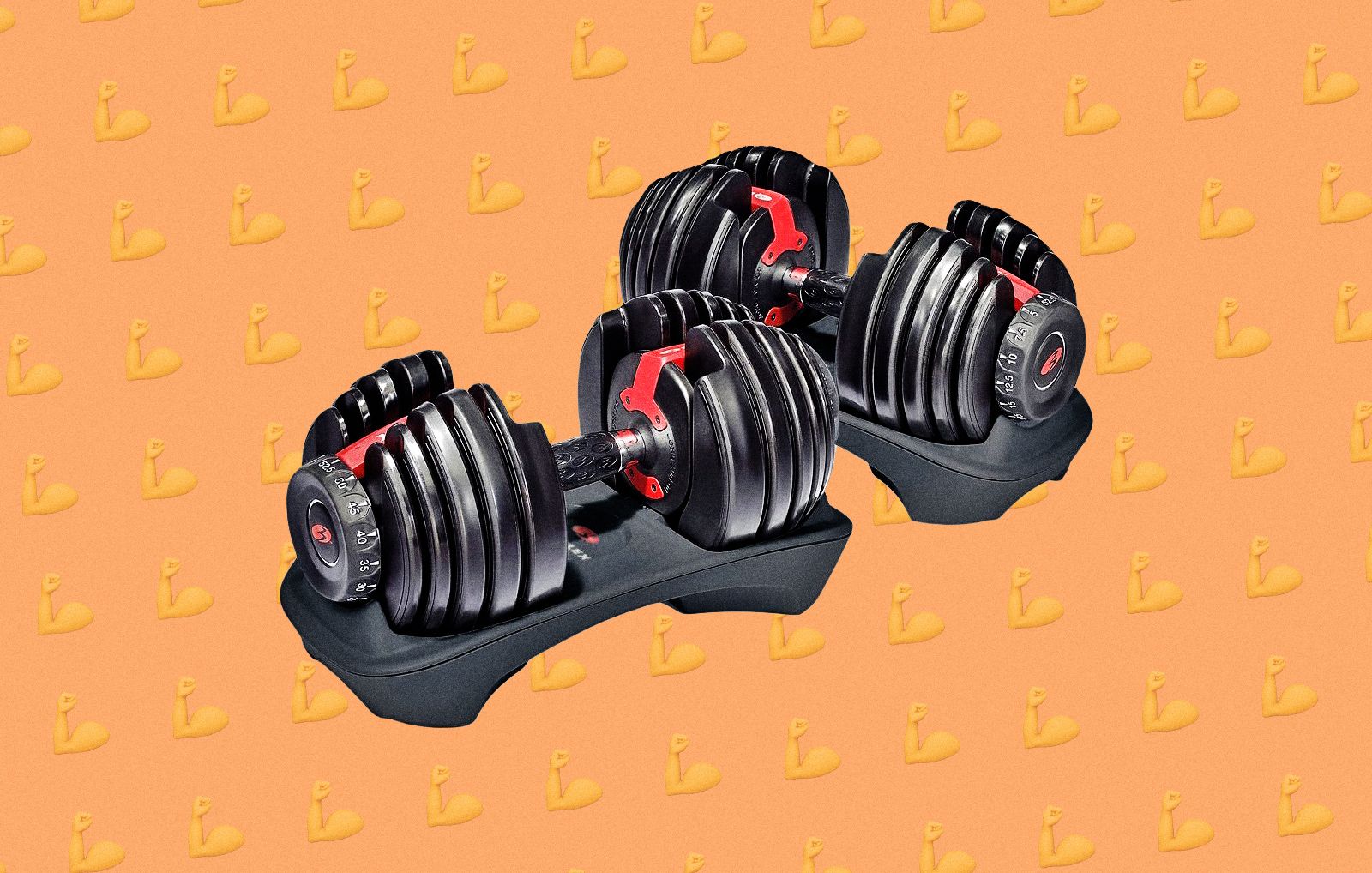 Bowflex selecttech 552 online dumbbells amazon