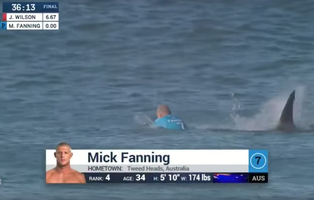 pro surfer second shark attack two years