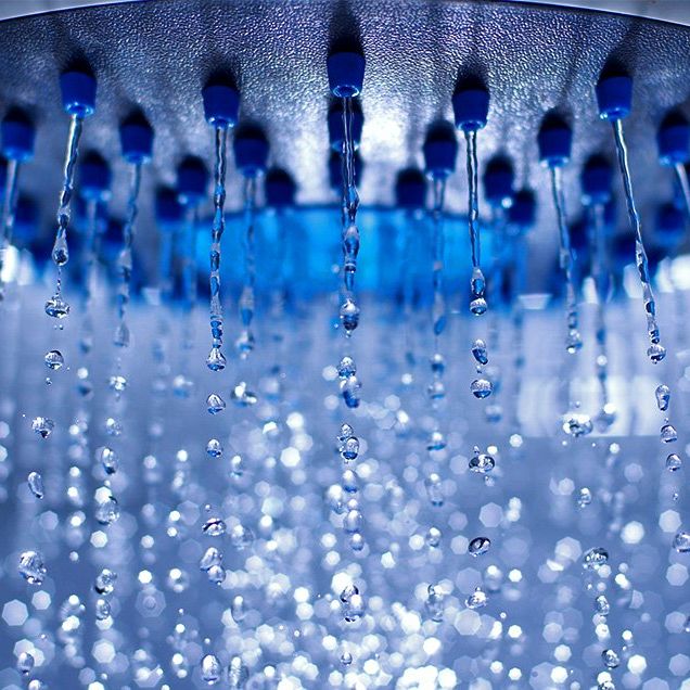 showerhead covered in germs