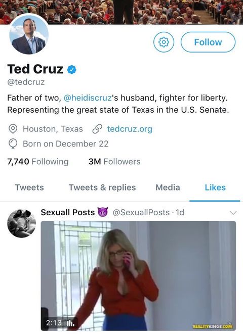 Ted Cruz Likes Porn Tweet