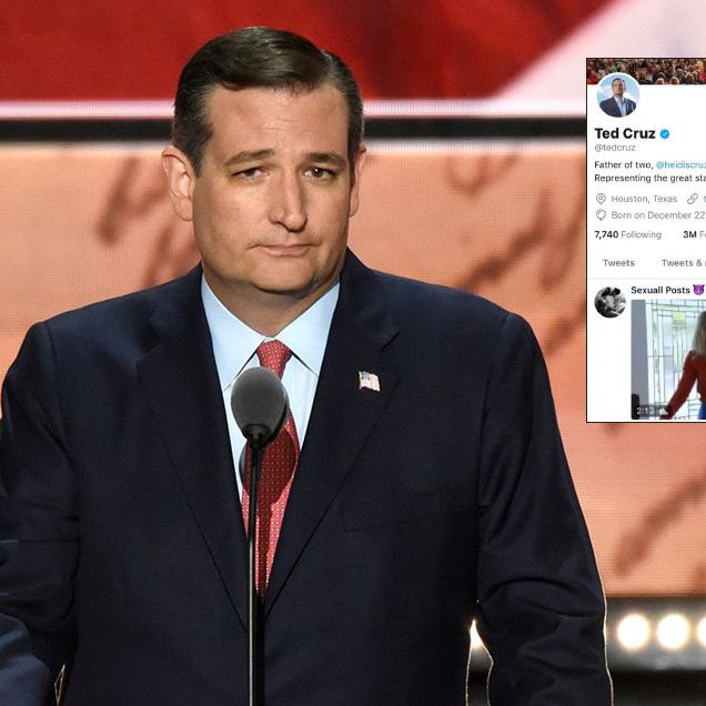 Ted Cruz tweets porn 