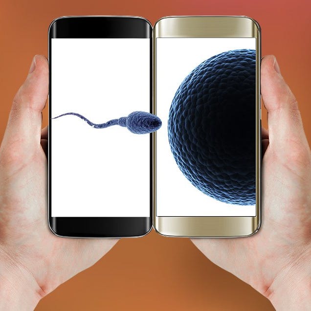 checking sperm on smartphone