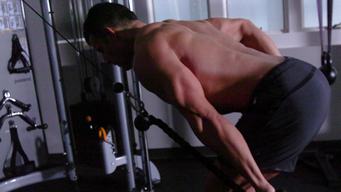 preview for Triceps Pushback
