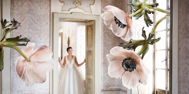 Photograph, Pink, Room, Wall, Flower, Dress, Photography, Plant, Wedding dress, Petal, 