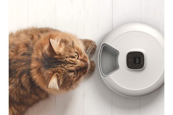 人気❗️自動給餌器 ペット フード 録音 遠隔操作 大容量 丸洗い 餌 猫 犬