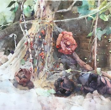 Watercolor paint, Painting, Branch, Tree, Paint, Plant, Still life, Art, Visual arts, Twig, 