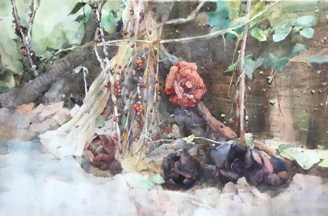 Watercolor paint, Painting, Branch, Tree, Paint, Plant, Still life, Art, Visual arts, Twig, 