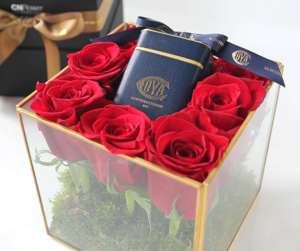 Red, Garden roses, Rose, Flower, Petal, Rose family, Plant, Box, Rose order, Material property, 