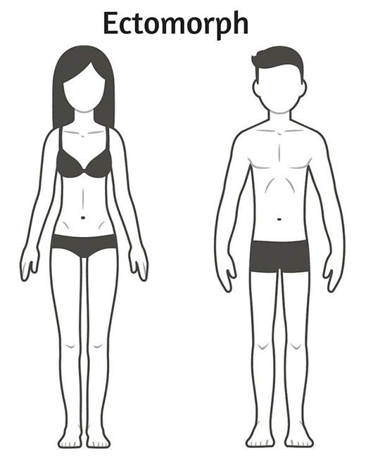 three body types explained
